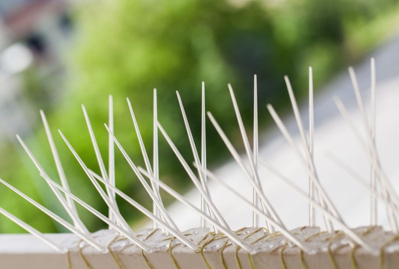 Bird Spike Systems