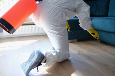 Commercial Fumigation in Fort Collins, CO