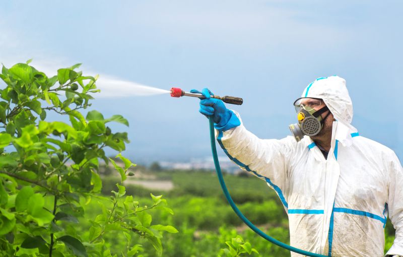 Fumigation Service in Wilmington, DE