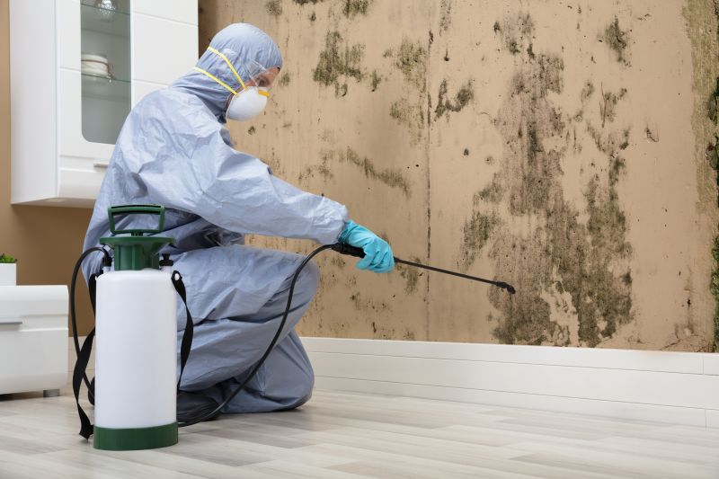 Moth Extermination in Frisco, TX