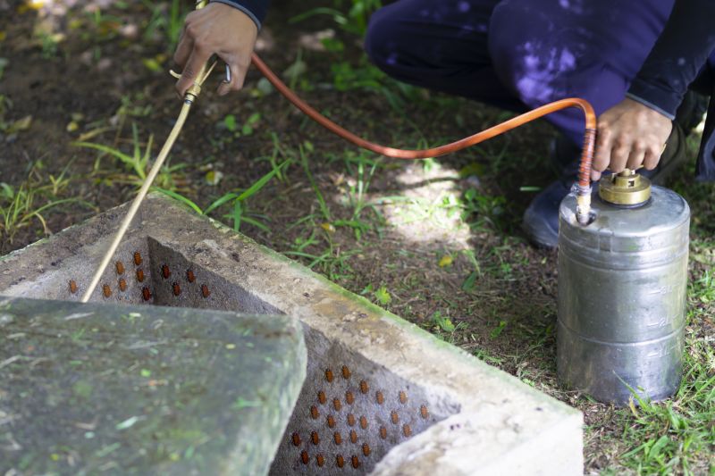 Spider Fumigation Service in West Palm Beach, FL