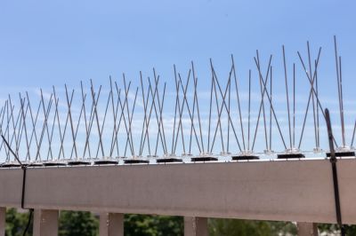 Bird Spikes for Bird Control!