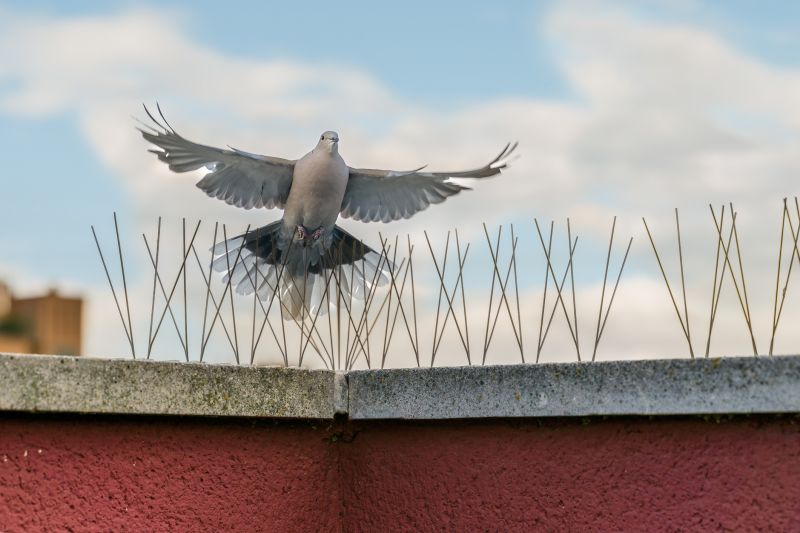 Bird Deterrent Devices
